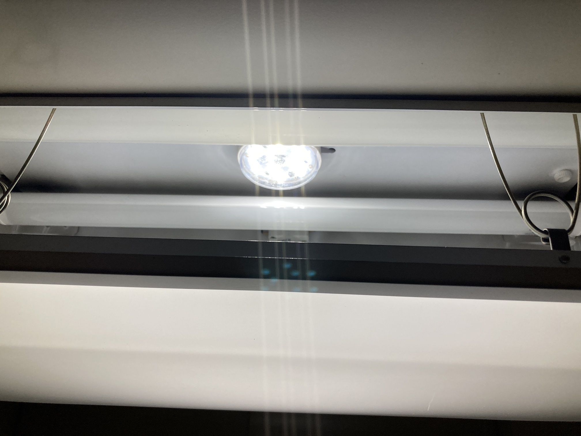 照明LED化