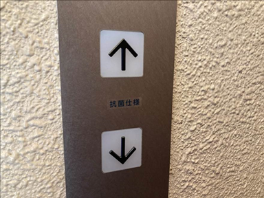 新:抗菌コート塗布 ※チタセランコーティング