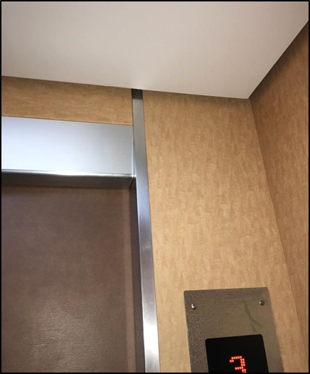新:カゴ内シート(かご扉と壁面は別のカラーにしたことでメリハリがつきました)